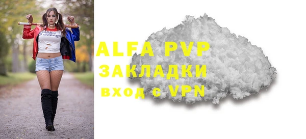 индика Белокуриха