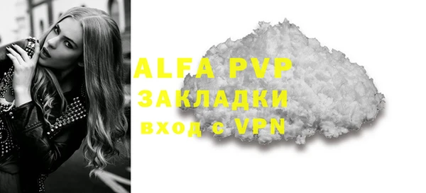индика Белокуриха