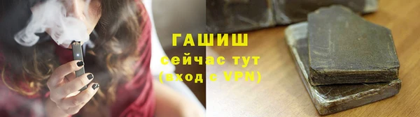 индика Белокуриха