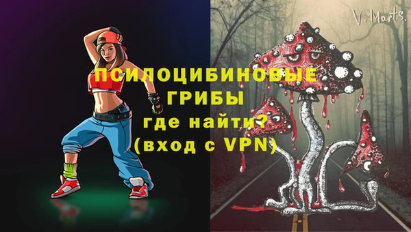 бошки Богданович
