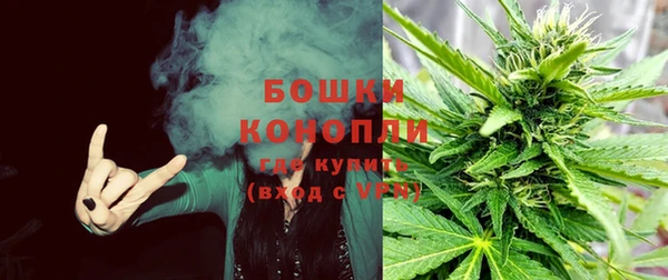 бошки Богданович