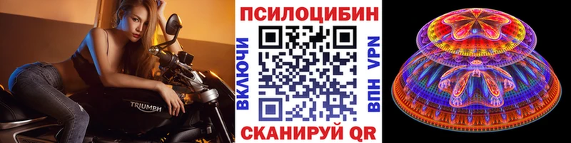 что такое   mega ссылки  Псилоцибиновые грибы Psilocybine cubensis  Медынь 
